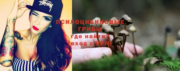 дурь Верея