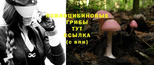 героин Осташков