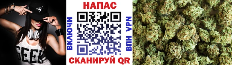 Марихуана семена  наркошоп  Дигора 